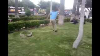 trickside parkour raphaelsilvas playing with my self