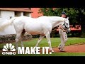 America's Most Valuable Stallion Making Over $35 Million In Retirement | CNBC Make It.