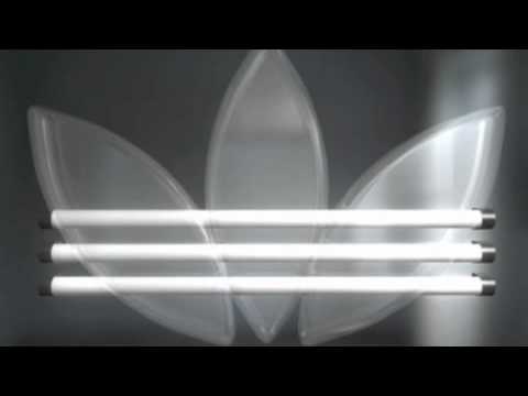 Nolay - Bars Of Truth