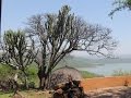 Zulu In South Africa