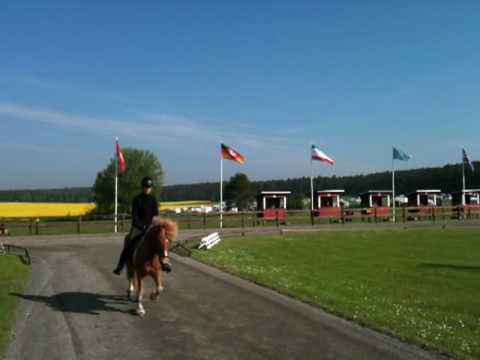 Kronshof-special - Training 21.5. - www.isibless.de