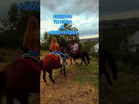 DATO SI VIENES AL SUR LOS LAGOS #CABALLOS # PUYEHUE