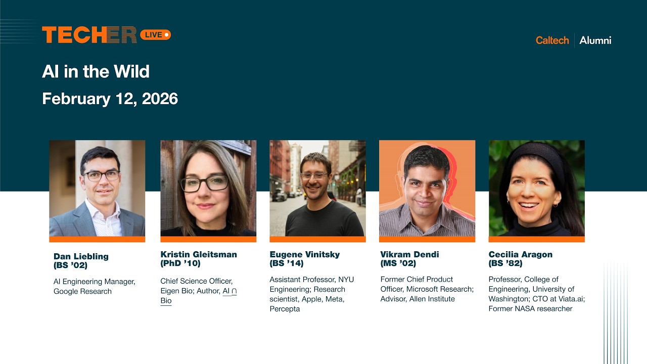 AI in the Wild: What Actually Works