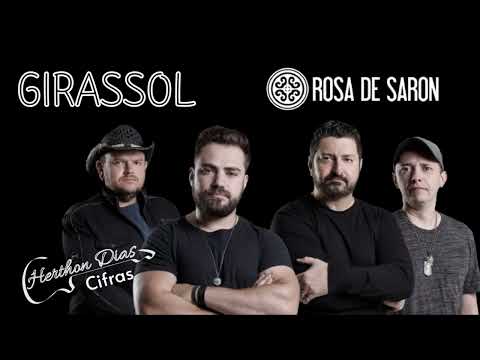 Girassol - Rosa de Saron