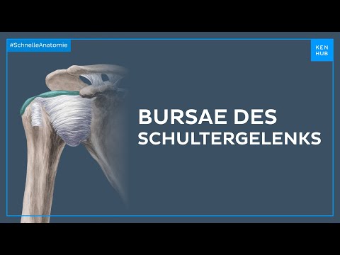 Bursae des Schultergelenks - Anatomie einfach erklärt | Kenhub
