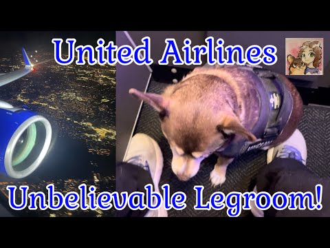 Miniatura de YouTube para United Airlines Airbus A321neo