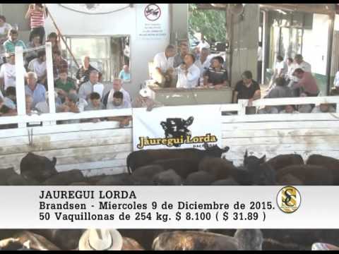 09-12-15 Venta de Hembras - Jauregui Lorda - Brandsen.