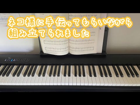 初めての電子ピアノを設置！ローランドFP-30Xのスタンド組み立てと猫の手