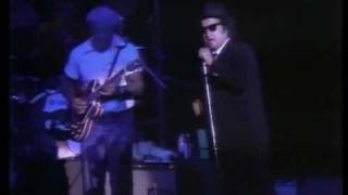 The Blues Brothers -  Shotgun Blues