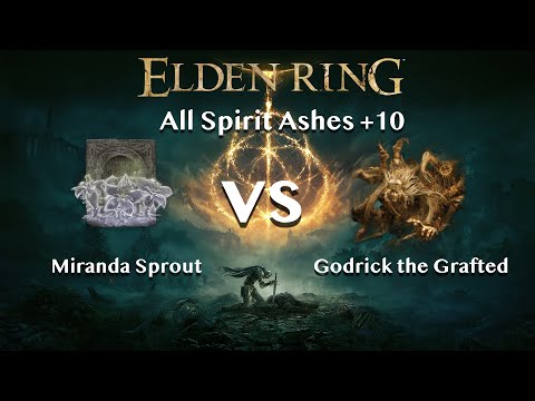 【Elden Ring】Miranda Sprout vs Godrick the Grafted【All Spirit Ashes+10】