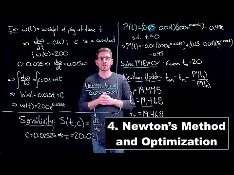 Newton's Method and Optimization - Math Modelling | Lecture 4