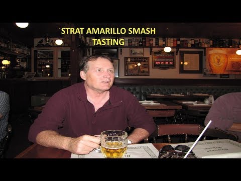 Strat memorial brew (Amarillo S.M.A.S.H) tasting With Rookiebrew