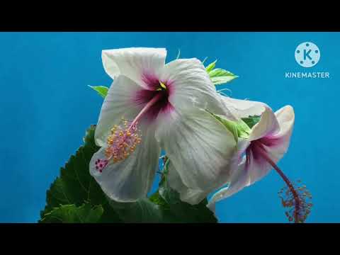 prakriti aur manushya ke beach gehra samban hai