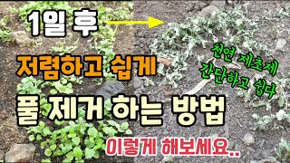 텃밭잡초 저렴하고 쉽게 제거하는 방법 잡초제거방법 친환경천연제초제 만들기 사용시주의사항
