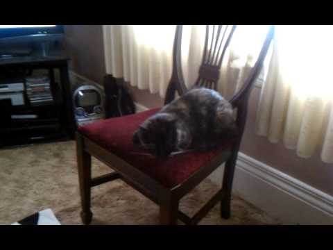 Nalini Coughed... My Poor Baby!