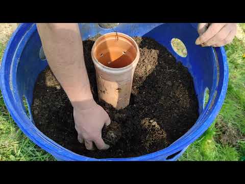 Der kleinste Garten der Welt vorbereiten und der größte Ertrag