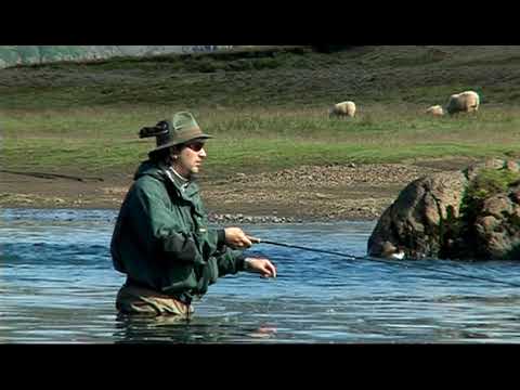 Veitt með vinum  - Breiðdalsá