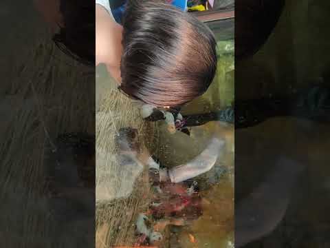 Kathmandu zoo visit -Nishma