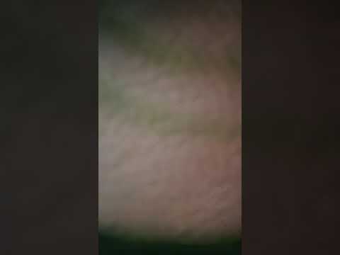 SIS MELLY - Nyaya Iyi ihombe zvinzwirei