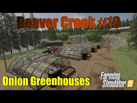 Farming Simulator 19 | Beaver Creek #19 | Onion Greenhouses