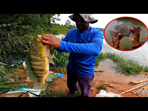 We set up camp at midnight and an unusual creature appeared while we were fishing, even though it...