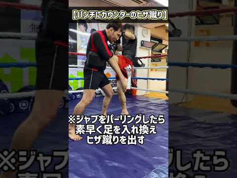 【覚えるとパンチが怖くない】カウンターの膝蹴り練習方法！　#shorts