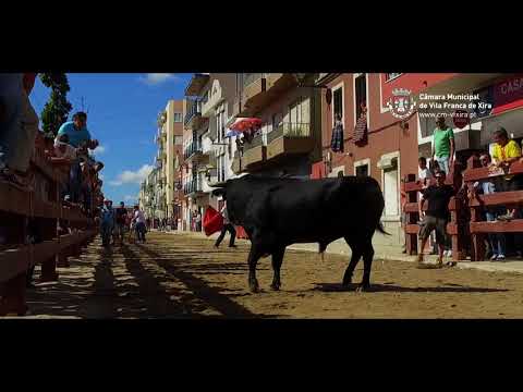Vila Franca de Xira - Festas de Outubro