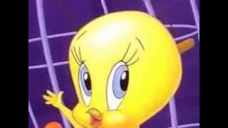 Tweety Bird Video