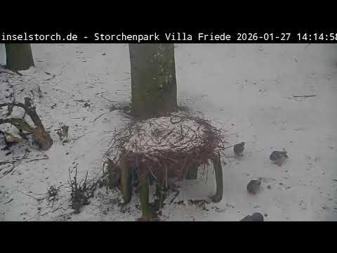 Storchenpark in Wyk auf Föhr