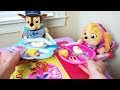 खेल के मैदान में Paw Patrol Skye और चेस का मजेदा�