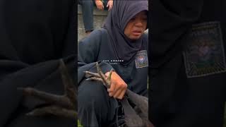 Download lagu Siswa PSHT Menangis Meluhat Ayam Kesanyangannya di Potong mp3 Download lagu Siswa PSHT Menangis Meluhat Ayam Kesanyangannya di Potong mp3