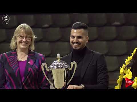 Ecaho European Show 2018 - Awards