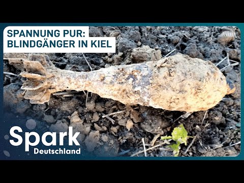 Im Einsatz gegen den Tod | Entschärfung eines Blindgängers in Kiel