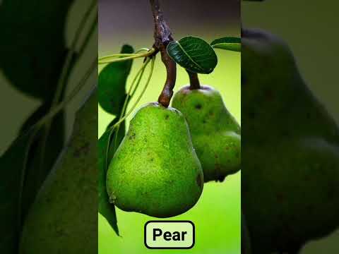 تعلم أسماء الفواكه بالإنجليزية  :