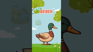 Download lagu Suara bebek 🦆🦆🦆suara hewan lucu #safariedukasi #animals #fyp #hewanternak #suarahewan mp3 Download lagu Suara bebek 🦆🦆🦆suara hewan lucu #safariedukasi #animals #fyp #hewanternak #suarahewan mp3