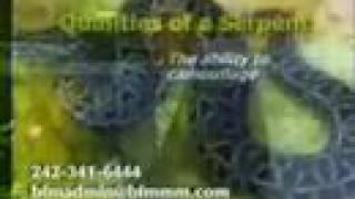 Sheep, Wolves, Snakes, & Doves Oh My! ~ 2 of 2 ~ Dr. Myles Munroe