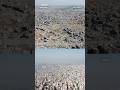 Drone Footage Shows Gaza Before And After Israel S Military Operation In The Palestinian Enclave