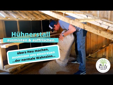 Hühnerstall ausmisten und neu Einstreuen - der ganz normale Wahnsinn...