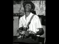 Hound Dog Taylor- It's Alright