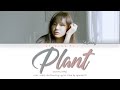 Sejeong 세정 039 Plant 화분 039 Lyrics C Sejeong 세정 039 Plant 화분 039 Lyrics C