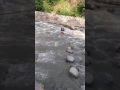 Manali Water Stunt Jot Bhatia Bilga Wala