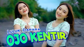 Download lagu Luluk Darara - Ojo Kentir mp3 Download lagu Luluk Darara - Ojo Kentir mp3