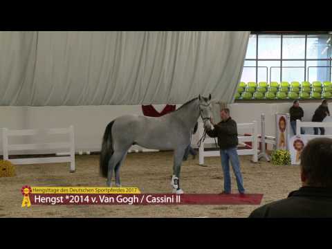 KN 78 v. Van Gogh - Cassini