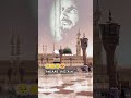 Mere Maula Meri Aankhein Mujhe Wapas Kr De Naat Status Abbas Abdali Naat Shorts Naatstatus