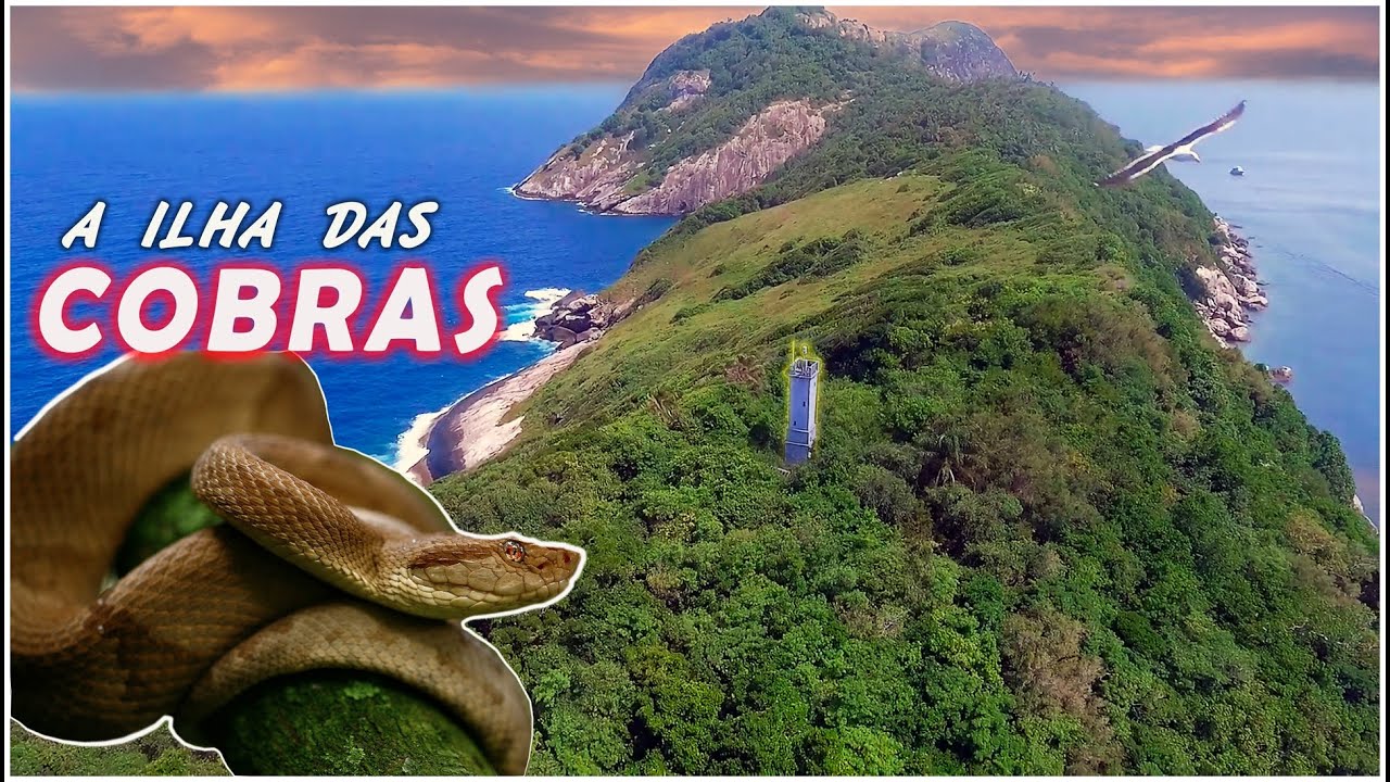 Visitamos a ILHA das COBRAS, a ilha mais Perigosa do  Mundo, com 5 cobras por Metro quadrado