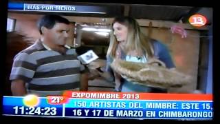 preview picture of video 'CHIMBARONGO :::EXPOMIMBRE 2013:::'