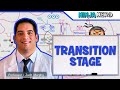 Metabolism | Transition Stage (Preparatory Phase)