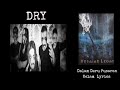 DRY INA Dalam Deru Pusaran Kelam Lyrics