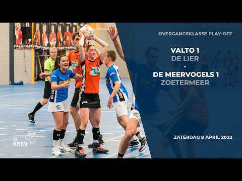 Valto 1 - De Meervogels 1