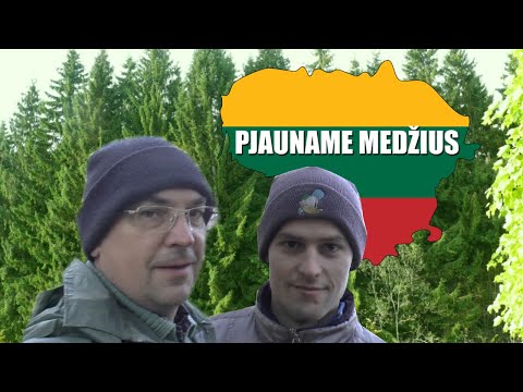 LITHUANIAN LESSON 147 - WE ARE CUTTING TREES - Pjauname medžius
